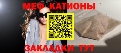 индика Пенза