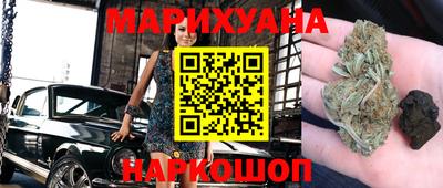 индика Пенза