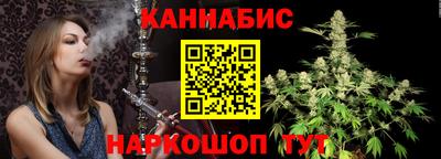 индика Пенза