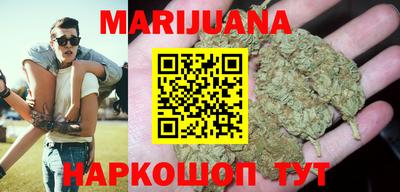 индика Пенза